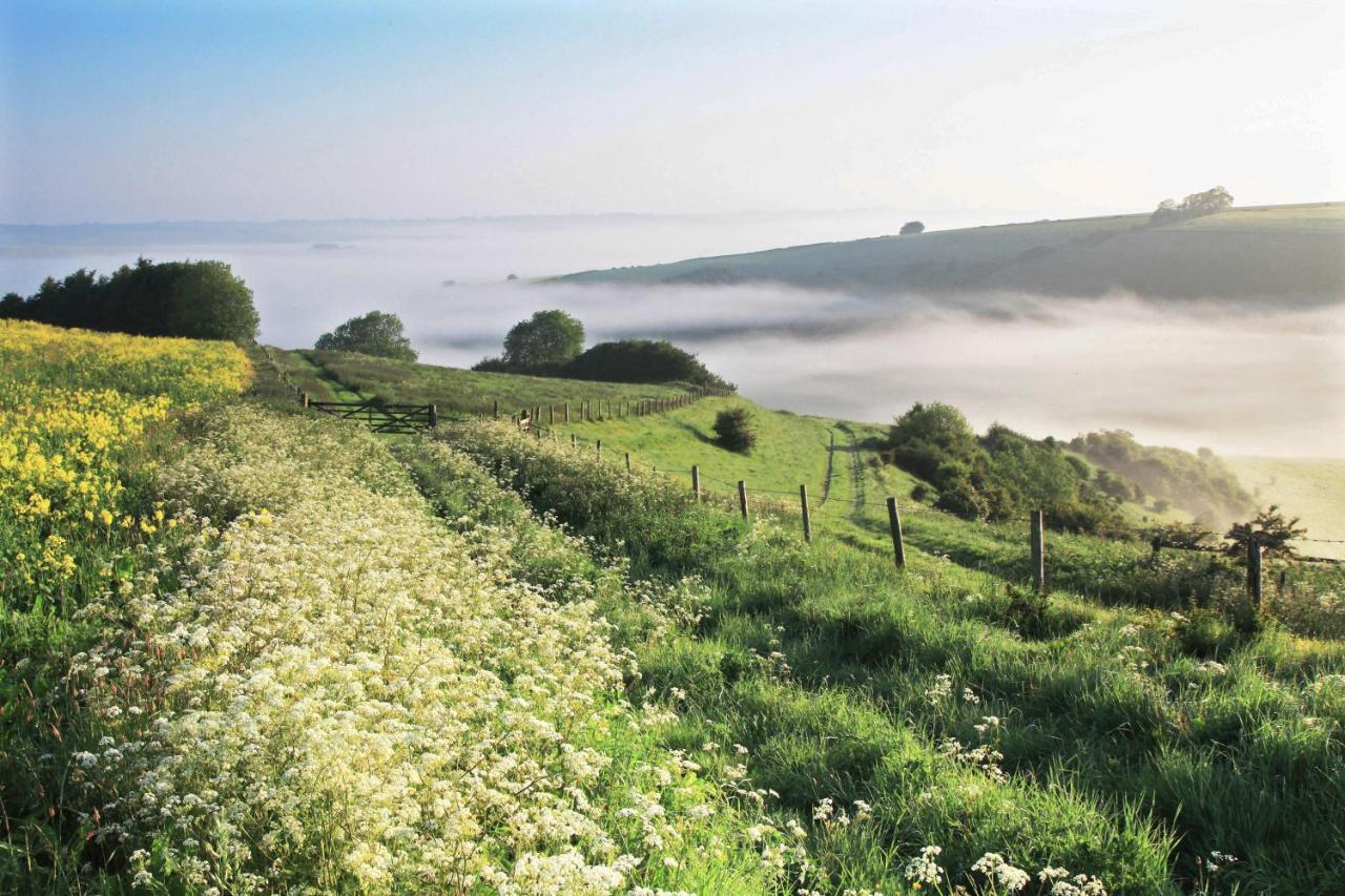 The Queen'S Head At Broad Chalke 호텔 외부 사진