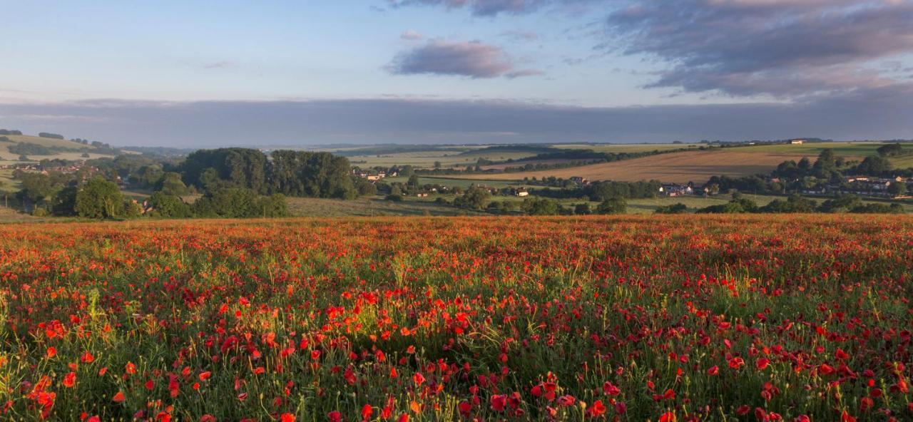 The Queen'S Head At Broad Chalke 호텔 외부 사진